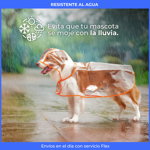 Piloto Perro Mascota Transparente Lluvia Talles Capucha Naranja Xxl