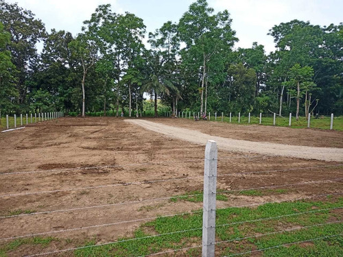 Imagen 9 de 14 de Lotes En El Molino (2000m2)