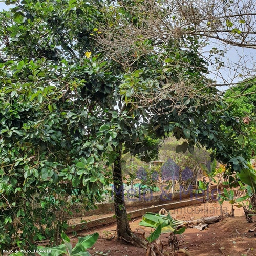 Imagem 14 de 15 de Chácara Para Venda Em Tuiuti, Vieiras - 1284_2-837902