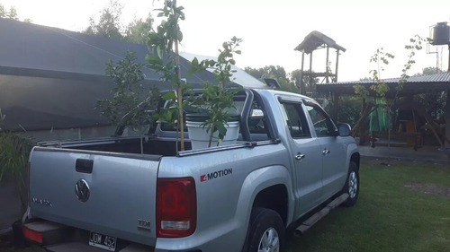 Imagen 6 de 11 de Arbol Lapacho Amarillo O Blanco 2.0 Mts..e.gratiscaba/gba