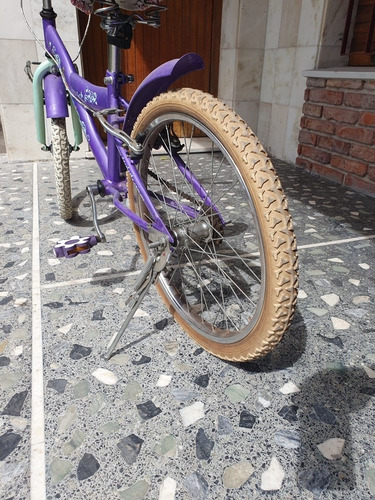 Bicicleta Baccio 