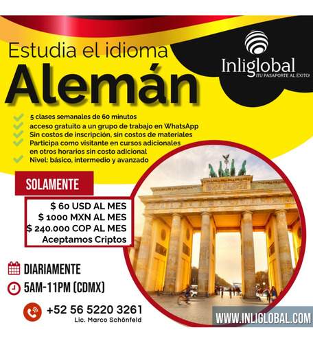 Curso De Inglés/alemán/francés Online En Tiempo Real
