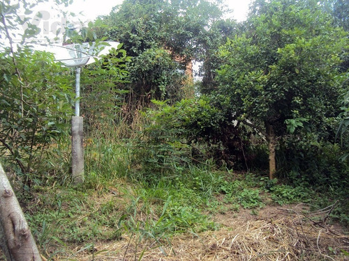 Imagem 7 de 15 de Chácara A Venda Em Centro - Porangaba - 20273