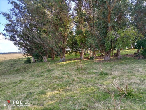 Imagen 14 de 15 de Campo Ganadero 232 Hectáreas (90 Hectáreas Son De Soja) .ruta 9