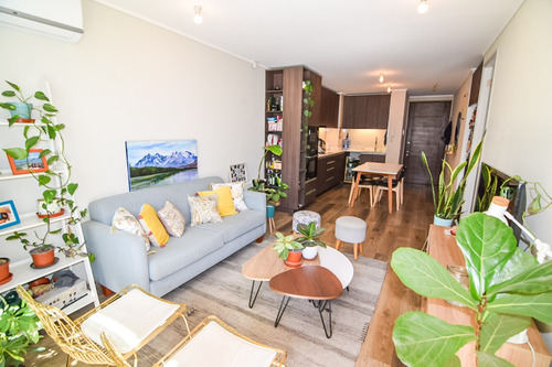 Hermoso Departamento Con Patio - Ñuñoa