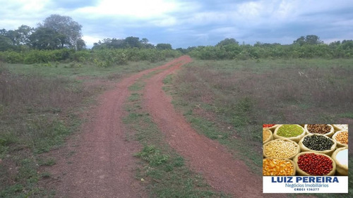 Fazenda À Venda Em Camapuã - Ms - De 830 Hectares (pecuária) - 1568