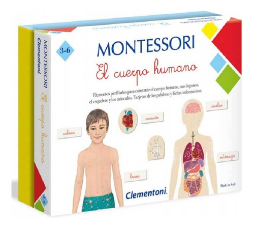 Juego Montessori El Cuerpo Humano