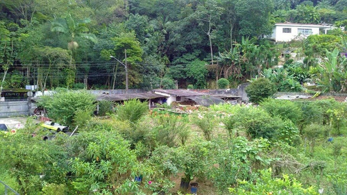 Imagem 3 de 17 de Chácara Residencial À Venda, Horto Florestal, São Paulo. - Ch0006