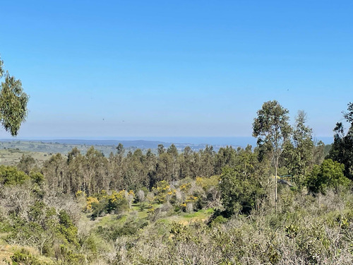 Venta De Parcelas, 5.000 Mts2, Con Agua Y Luz, En Algarrobo