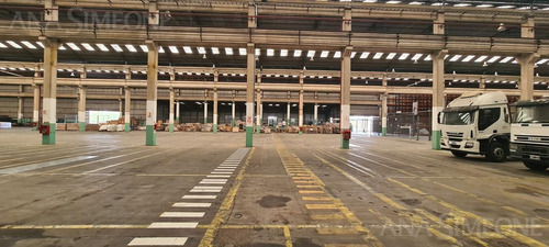 Imagen 4 de 9 de S/ Panamericana Nave De 3000 M²