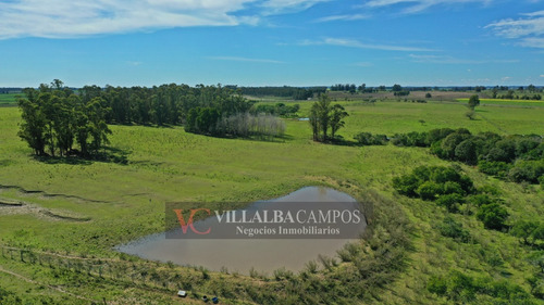 Chacra De 26 Hectàreas En Pantanoso, Sauce, Canelones