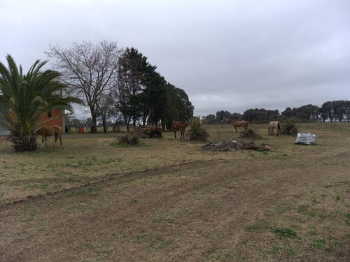 Imagen 9 de 16 de Excelente Campo /chacra De 12ha.