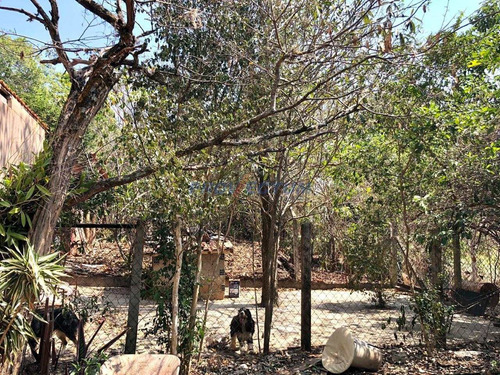Chácara À Venda Em Village Campinas - Ch252971