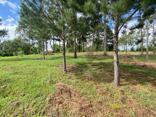 Imagen 9 de 23 de La Casa De Los Sueños En Venta!!