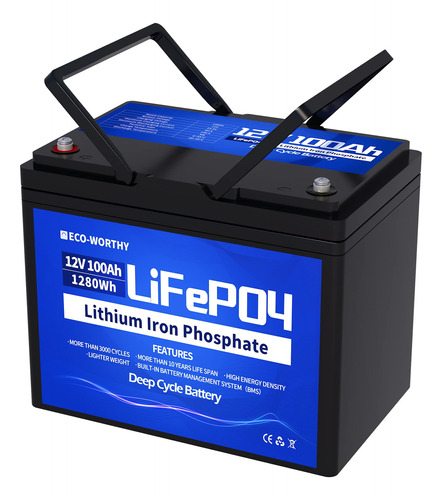 Eco-worthy Bateria Litio 12 V 100 Ah Recargable Lifepo4 Ion