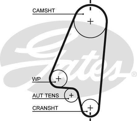 Correa Distribucion Chevrolet Corsa 2 Sedan (f19) 1.8 8v Naf