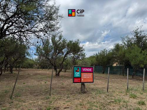 Venta De Lote Desmalezado En Carpintería