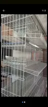 Comprar Jaula Para Codornices 