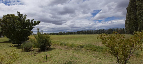Imagen 21 de 25 de Venta Chacra Casa 2 Dormitorios Galpón - Picun Leufú Neuquén