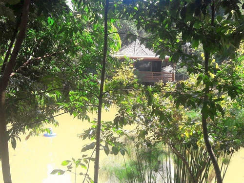 Imagem 20 de 30 de Casa À Venda Em Pinheiro - Ca002991