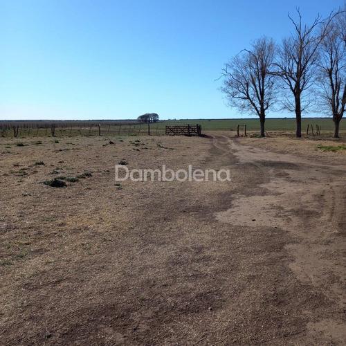 Imagen 6 de 30 de Terreno Campo En Venta O Permuta Ubicado En La Maruja, Rancul