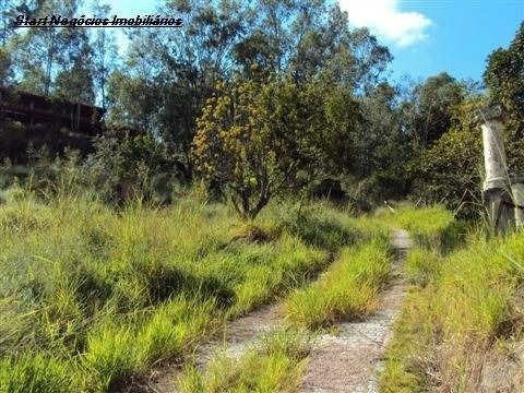 Imagem 4 de 10 de Chácara À Venda Em Joaquim Egídio - Ch088973