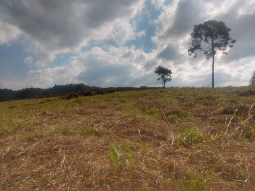 Imagem 8 de 13 de 1. 000m² Saindo A Vista R$120mil Já Podendo Construir, Frent