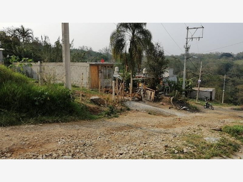 Imagen 3 de 5 de Terreno En Venta Olivo Animas
