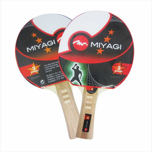 Raqueta X2 Und De Ping Pong Miyagi 5 Estrellas