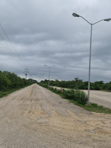 Imagen 3 de 4 de Terreno En Venta Carretera Mérida-progreso