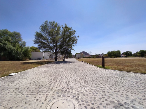 Imagen 8 de 10 de Terreno En Venta En Atlixco