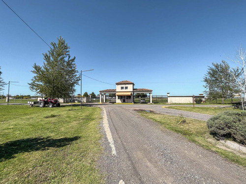 Imagen 17 de 21 de Lote Con Amenities De 440 M2 En Pinares Del Sur