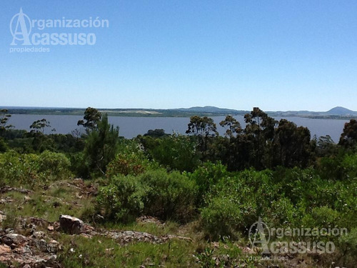 Imagen 8 de 19 de Punta Del Este - Chacra Venta Usd 1.100.000