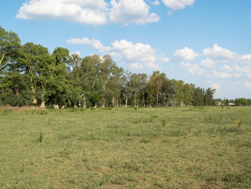Imagen 5 de 10 de La Eugenia!! Lotes De 600 Mts².