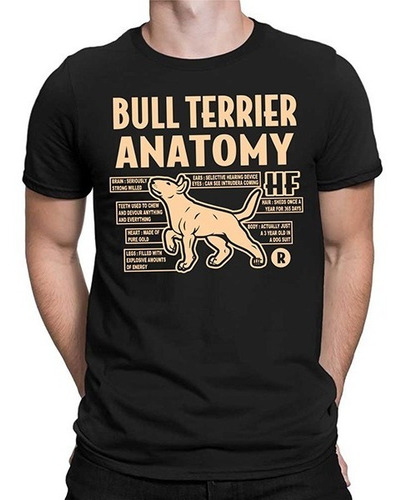 Remeras Hombre Bull Terrier Hf ® Dog Thinker Pack X 4