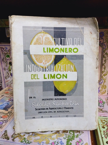 Cultivo Del Limonero Industrialización Del Limon