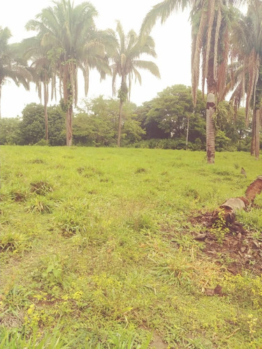 Finca En El Paguey, Barinas En Venta 