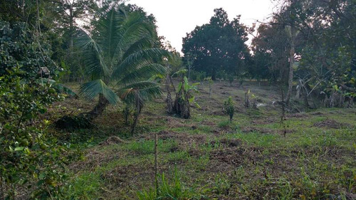 Venta Terreno 5000 M2 Frente Al Estero De Juana Moza Tuxpan Veracruz