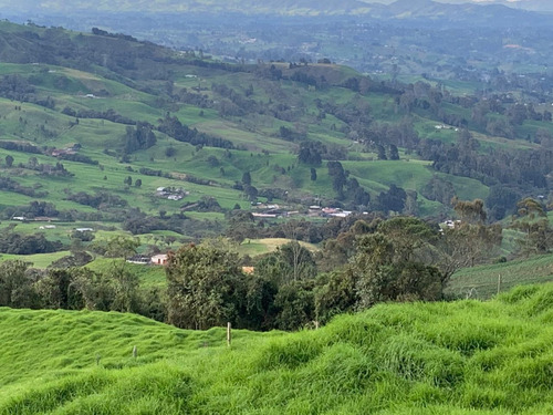 Imagen 5 de 30 de Vendo Finca Ganadera 66 Cuadras Alto Boquerón