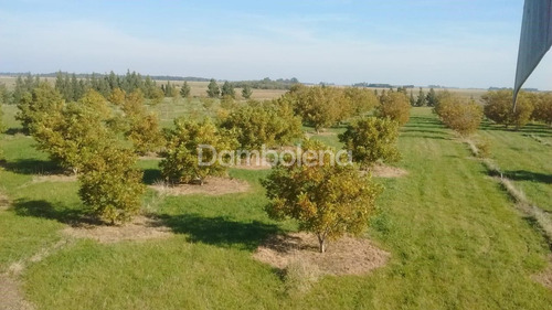 Imagen 8 de 25 de Terreno En Venta O Permuta Ubicado En Punta Indio, Resto De La Provincia