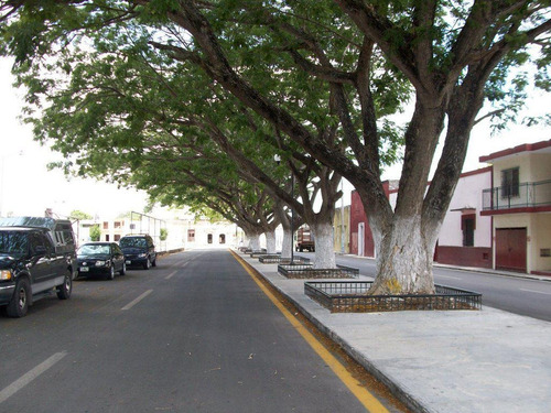 Imagen 6 de 13 de Terreno - Dzidzantún