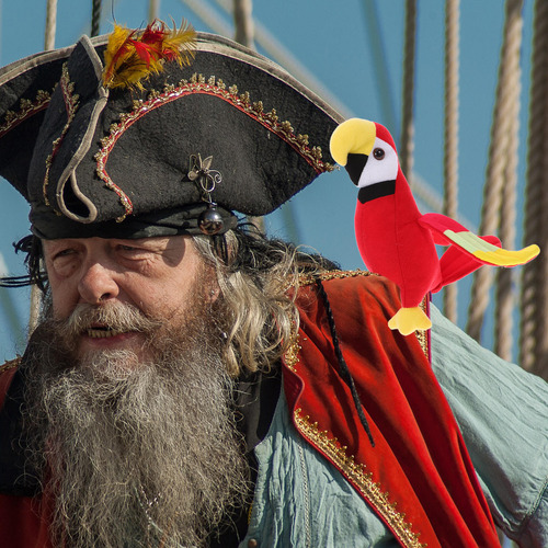 Peluche Con Forma De Loro Pirata Para Niños, Adorable Pirata