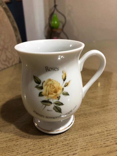 Taza De Porcelana (Usado)