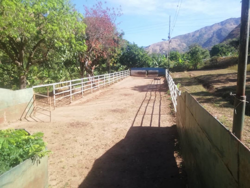 Imagen 10 de 11 de Se Vende Finca Con Piscina Negociable 04243290129