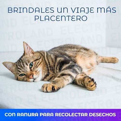 Imagen 3 de 10 de Caja Transportadora Para Perros Y Gatos Viajes Resistente