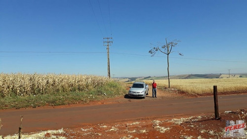 Imagem 11 de 30 de Chácaras_sítios_fazendas Para Venda - 13650.3266