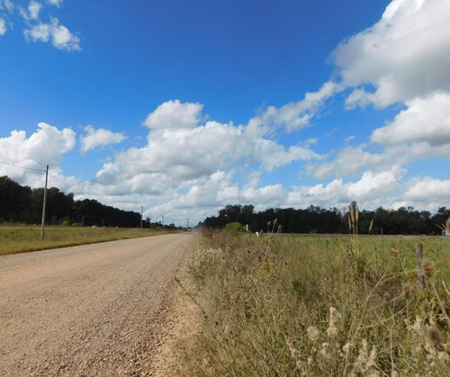 Imagen 8 de 12 de Venta - Lote 1766m2 - Sobre Colectora Ruta 8 El Remanso - Exaltacion De La Cruz