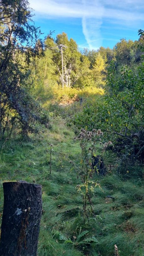 Imagen 2 de 12 de Terreno En Llao Llao, Bariloche