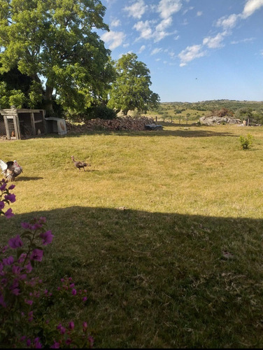 Hermoso Campo En Las Sierras De Carape