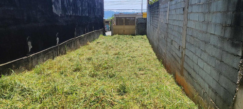 Terreno Com Escritura 210 Metros Vila Gilda Sp